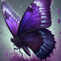 Butterfly Wallpapers Aesthetic