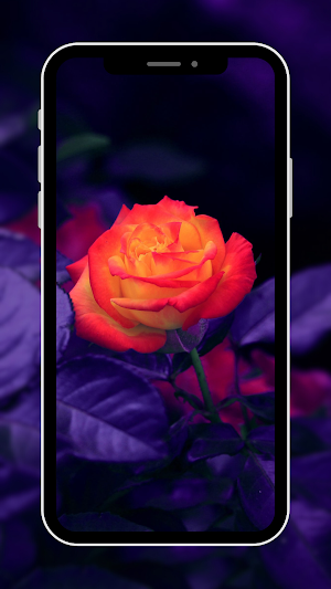 Flower Wallpaper Screenshot 1