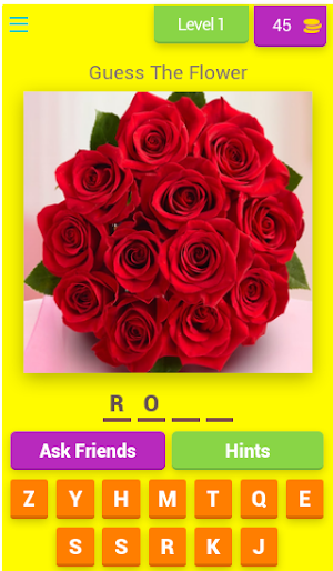 Brainy: Guess Image Quiz Screenshot 0
