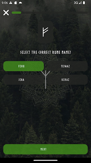 Way of the runes Screenshot 1