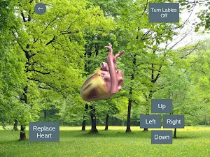 UMN Heart Screenshot 3