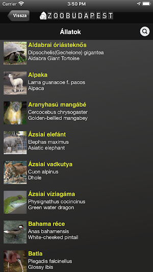ZOOBUDAPEST Screenshot 3