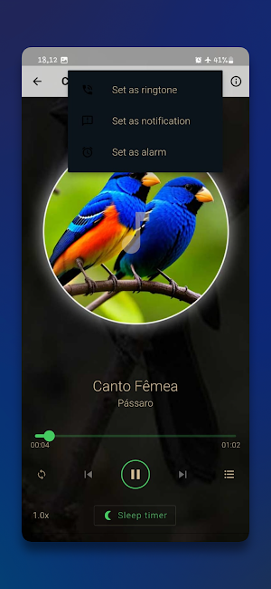 Canto Fêmea de Azulão Screenshot 3