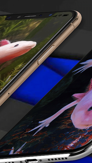 Axolotl Wallpaper Real Screenshot 3