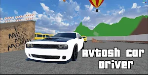 Avtosh Car Driver Screenshot 1