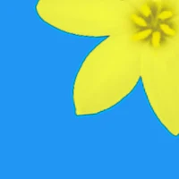 Photo Gallery Pro