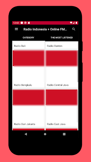 Radio Indonesia + Radio Online Screenshot 0