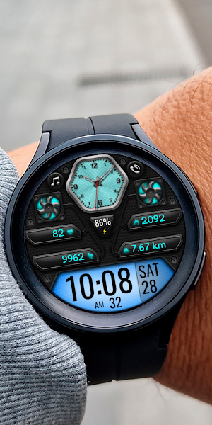 Hybrid DIGHED WS102 Watch face Screenshot 3