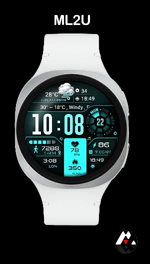 ML2U 134b Digital Hybrid Screenshot 2