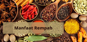 Manfaat Rempah Alami Screenshot 1