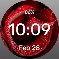 Dew on a Rose - Watch Face