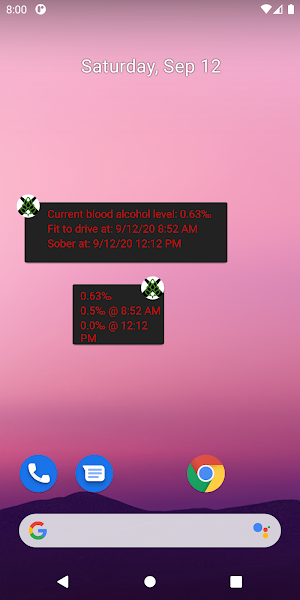 BAC Calculator Screenshot 2