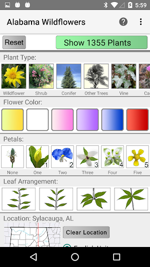 Alabama Wildflowers Screenshot 0