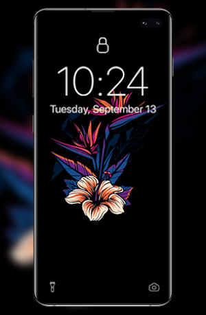 Black Wallpapers HD Screenshot 3