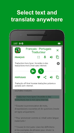 French - Portuguese Translator Screenshot 3