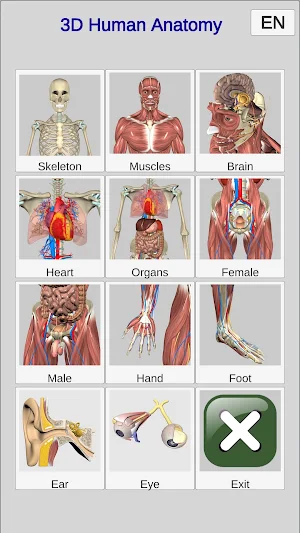 3D Anatomy Screenshot 0