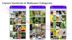 Wild Wonders: Insects Screenshot 0