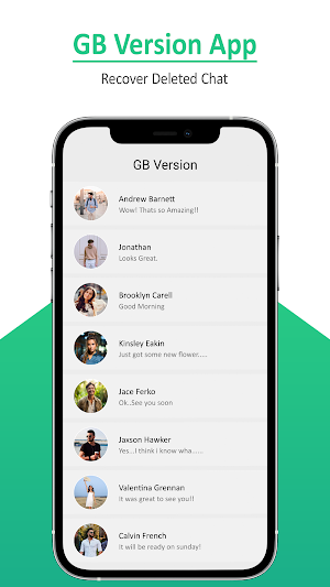 GB Pro Version 2024 Screenshot 1