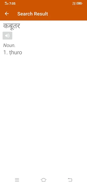 Mizo To Hindi Dictionary Screenshot 3