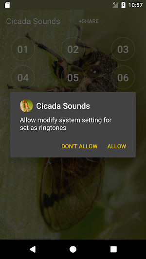 Cicada Sounds Screenshot 2