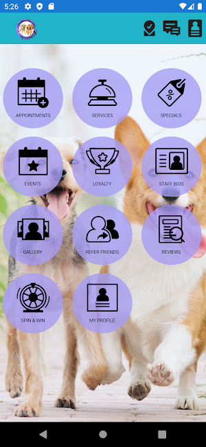 Pawsitive Critter Care Screenshot 3