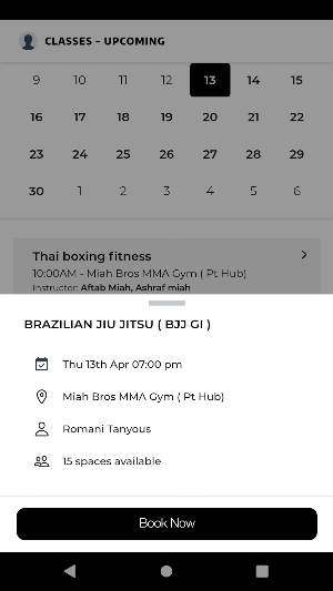 Miah Bros MMA Gym Screenshot 2