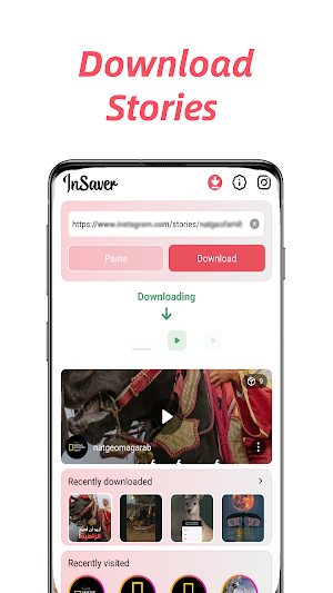 Video Downloader - Story Saver Screenshot 2