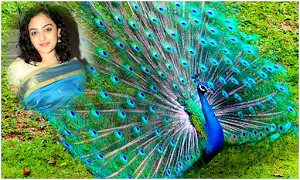 Beautiful Peacock Photoframes Screenshot 3