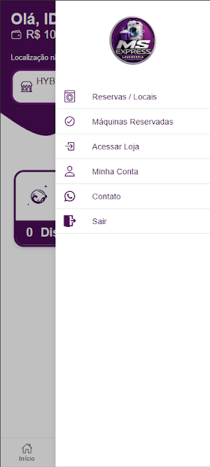 MS Express Screenshot 2