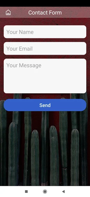 MEXIQUE AUTHENTIQUE Screenshot 2