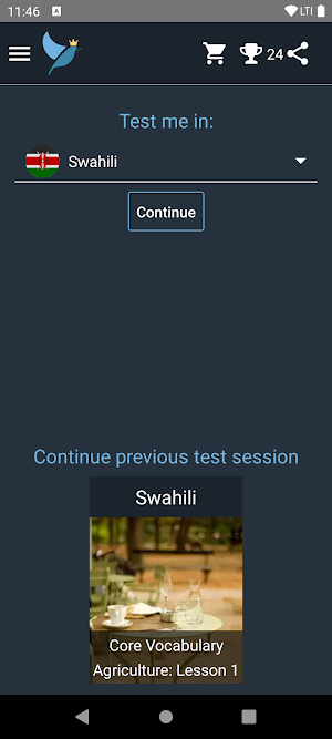 Swahili Language Tests Screenshot 0