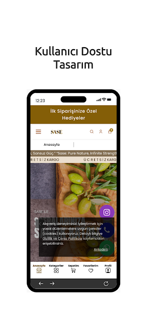 SASE&ESHOME Screenshot 1