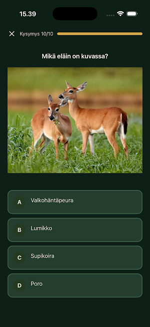 Metsästäjä Screenshot 2
