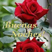 Buenas Noches con Flores