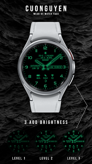 Watch face CNW-35 Screenshot 1