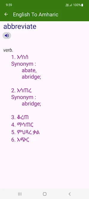 English To Amharic Dictionary Screenshot 2