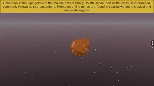 Echinodermata Screenshot 1