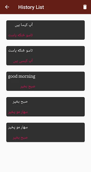 Pashto - Urdu Translator Screenshot 3