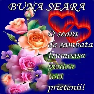 Bună Seara Screenshot 3