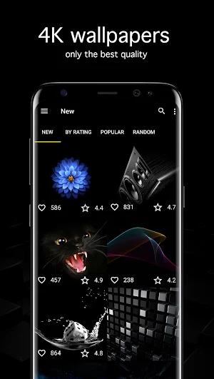 Black Wallpapers 4K (Dark) Screenshot 0