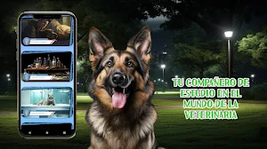 Curso de Veterinaria Screenshot 0
