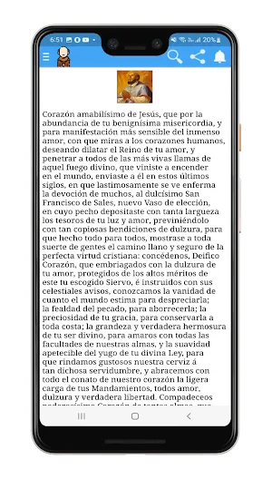 San Francisco de las Sales Screenshot 3