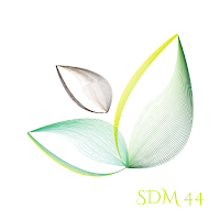 SDM 44