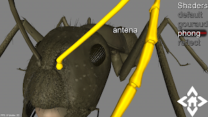 3D Ant Explorer Demo Screenshot 2