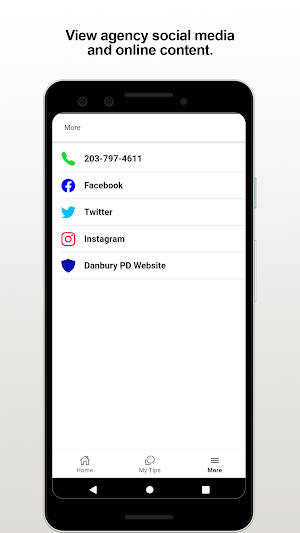 Danbury PD Screenshot 2