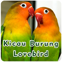 Kicau Burung Lovebird