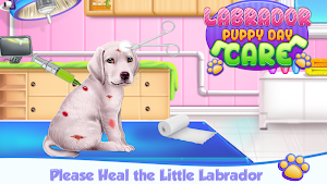 Labrador Puppy Day Care Screenshot 2