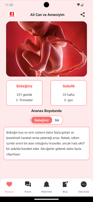 Mompedia Screenshot 2