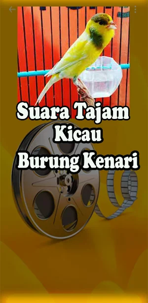 Masteran Ampuh Kenari Full Mp3 Screenshot 3
