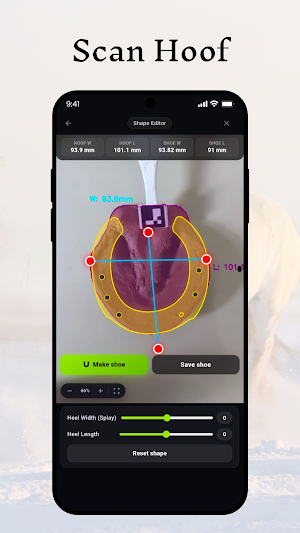 Horsopedics Screenshot 2